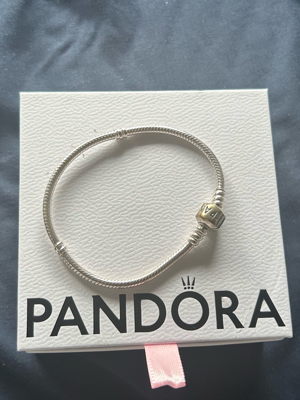Pandora Silver Snake Chain Bracelet with Logo Clasp